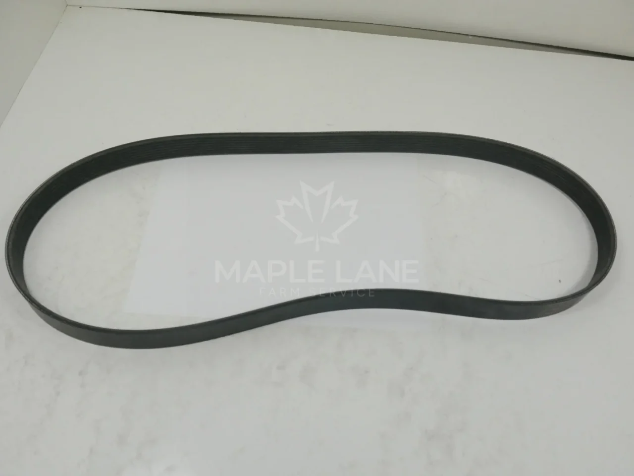 50295102 V-ribbed Belt
