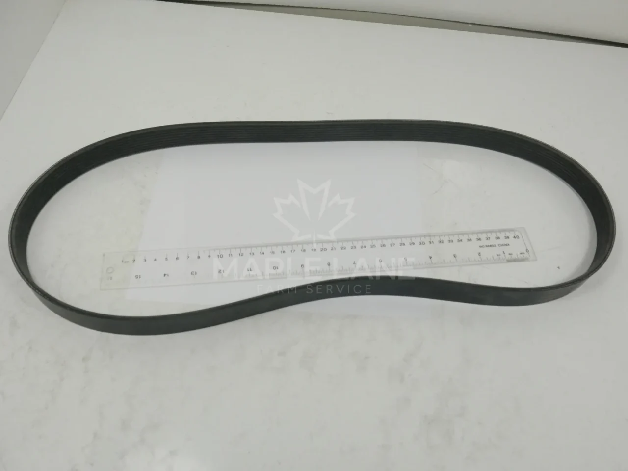 50295102 V-ribbed Belt