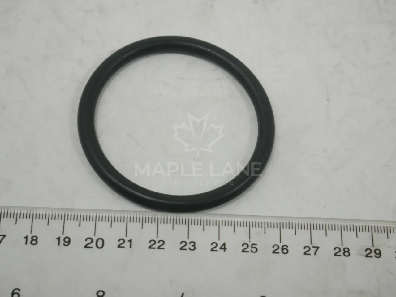 603891 O-ring