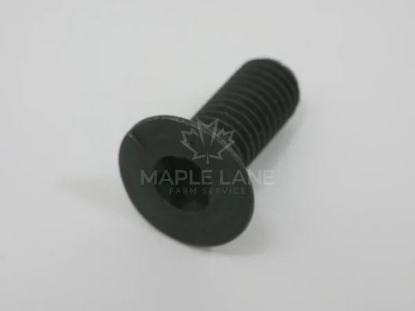 3010348X1 Torx Head Screw