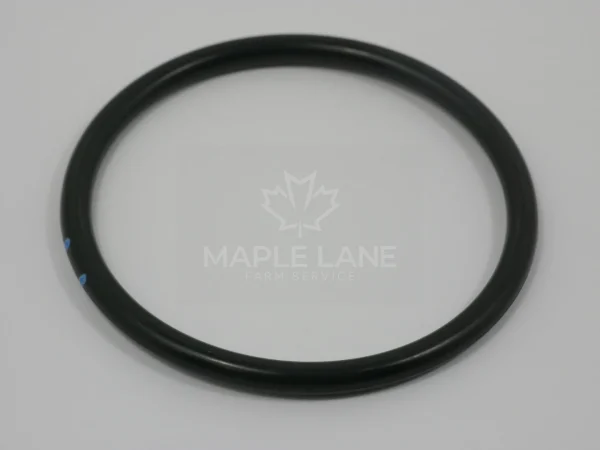3704955M1 O-Ring