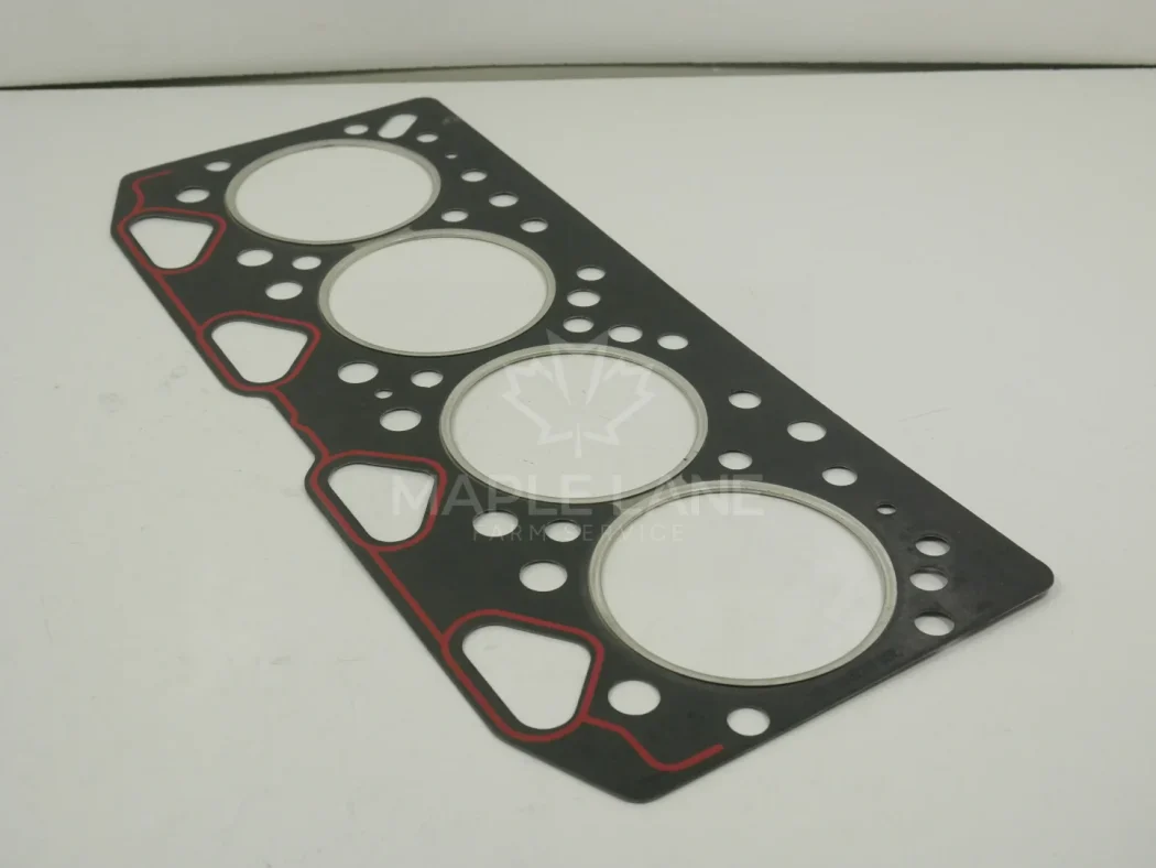 4224501M1 Head Gasket