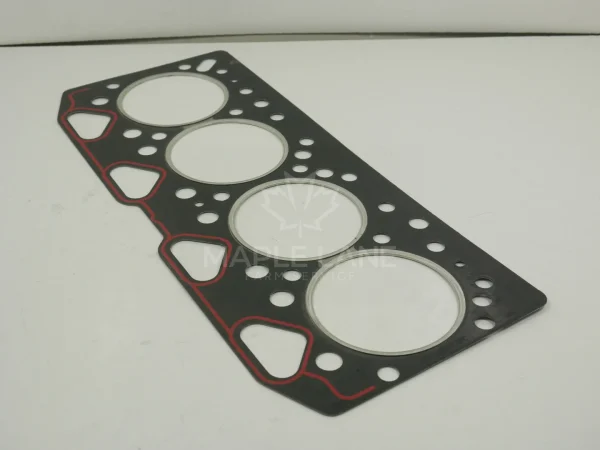 4224501M1 Head Gasket