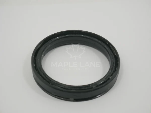 4260573M1 Seal
