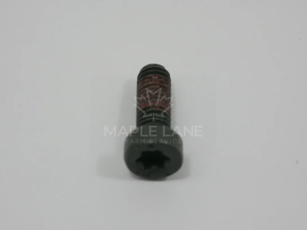 4302667M1 Torx Screw