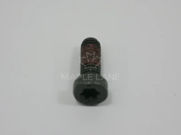 4302667M1 Torx Screw