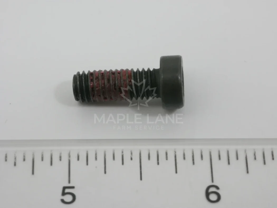 4302667M1 Torx Screw