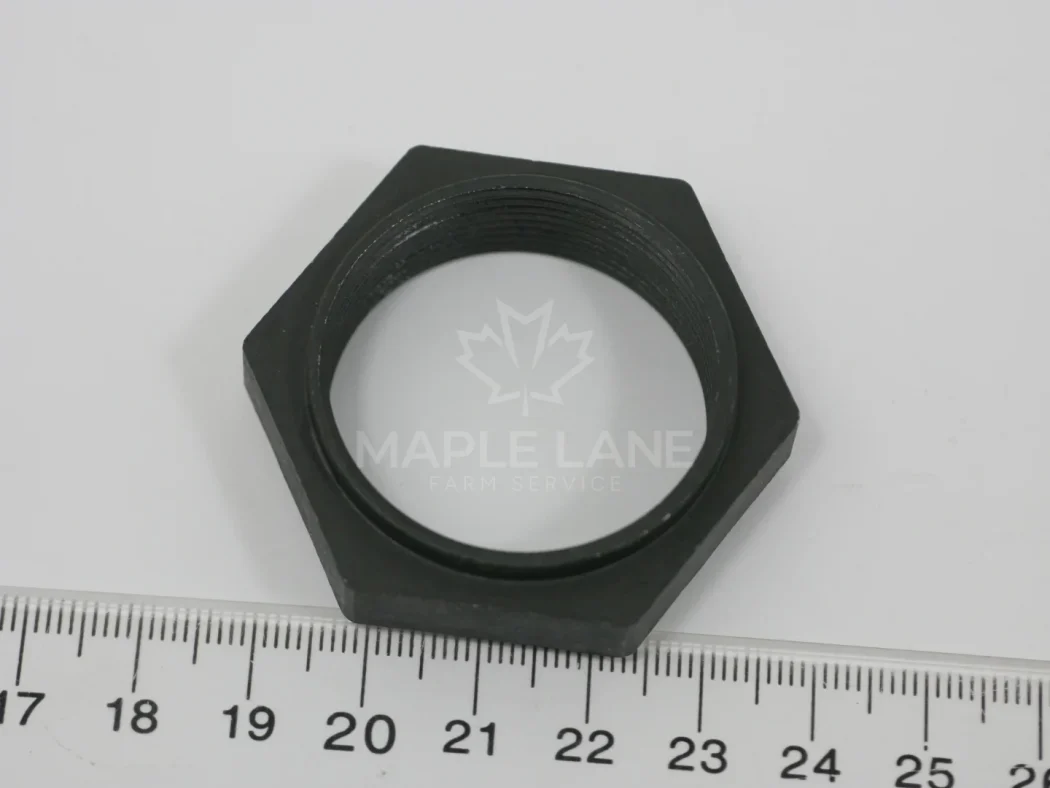 4304989M2 hex nut