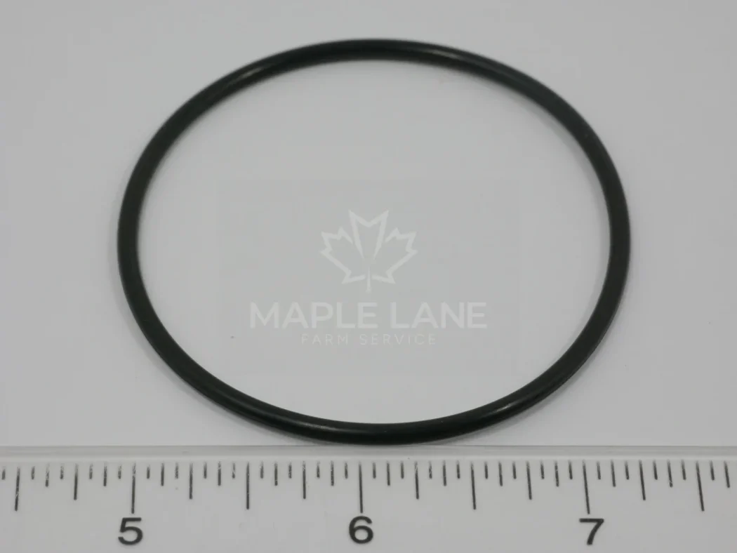 72313484 O-Ring