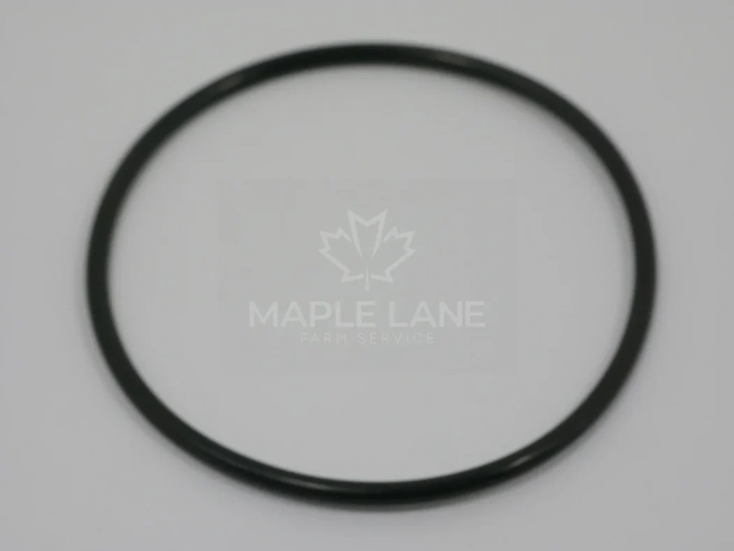 72313484 O-Ring