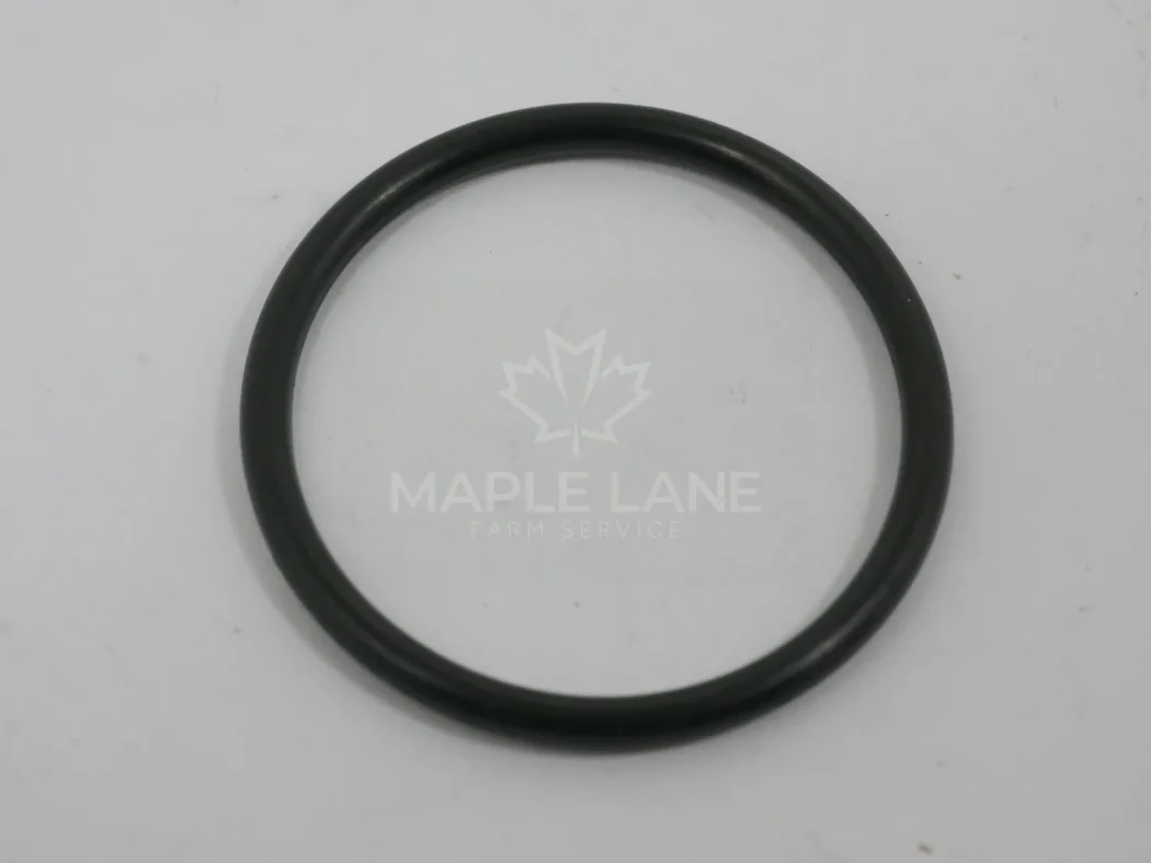 72483947 O-Ring