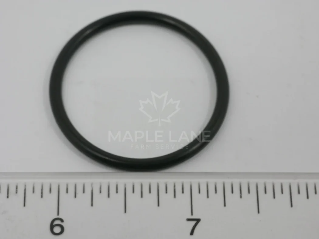72483947 O-Ring