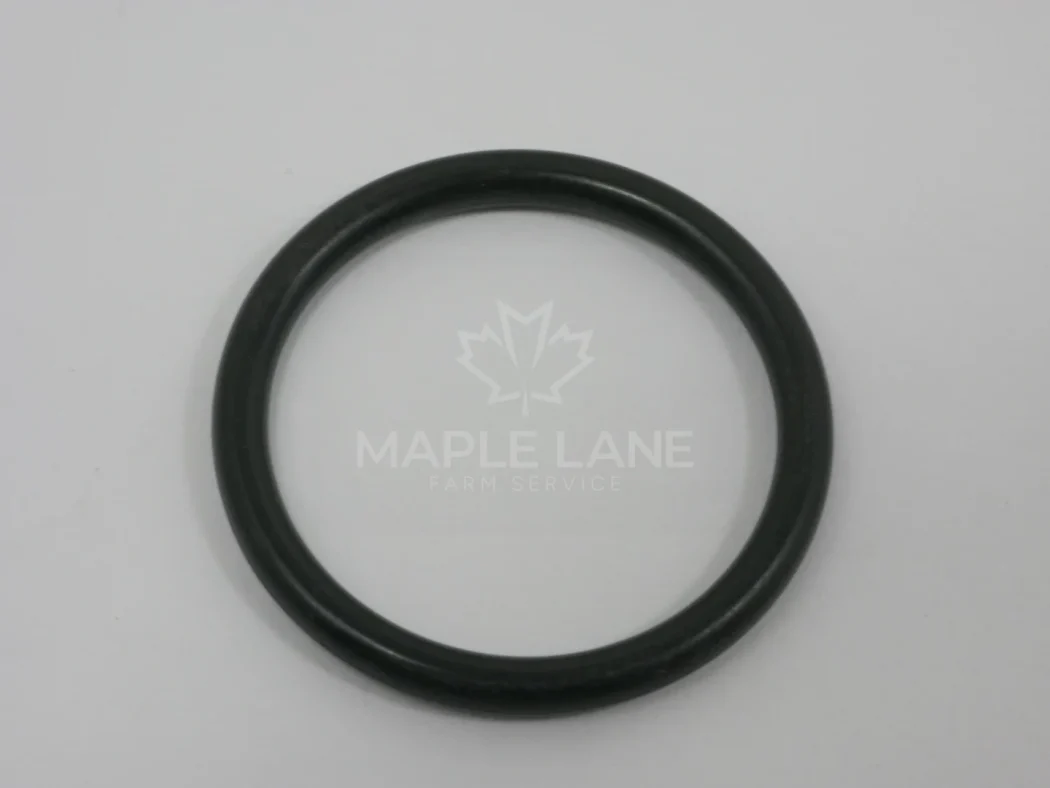 72493726 O-Ring