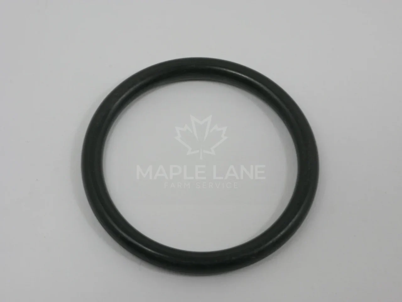 72493726 O-Ring