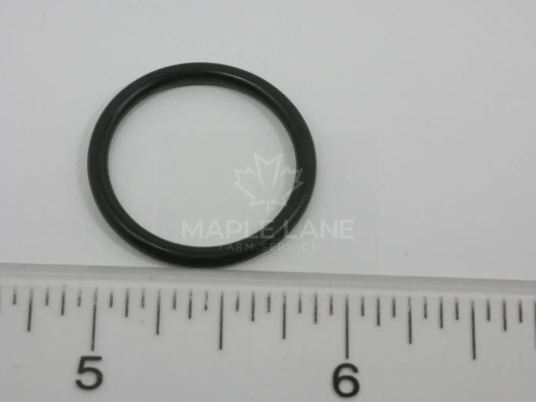 72493726 O-Ring