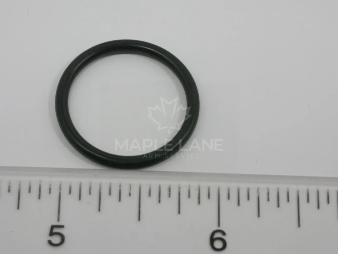 72493726 O-Ring
