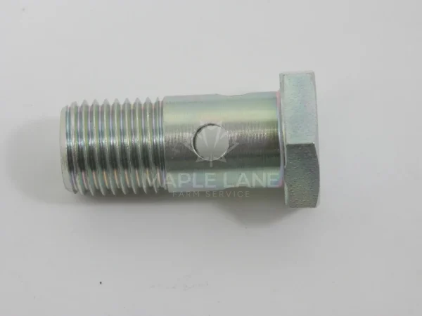 72613296 Banjo Bolt