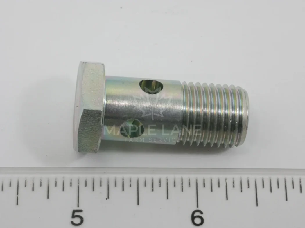 72613296 Banjo Bolt