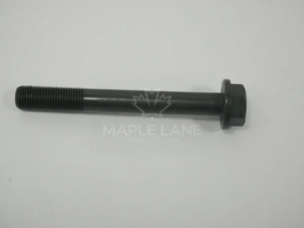 747743M1 screw