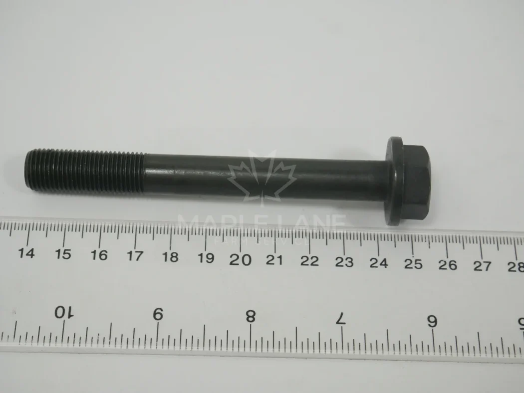 747743M1 screw