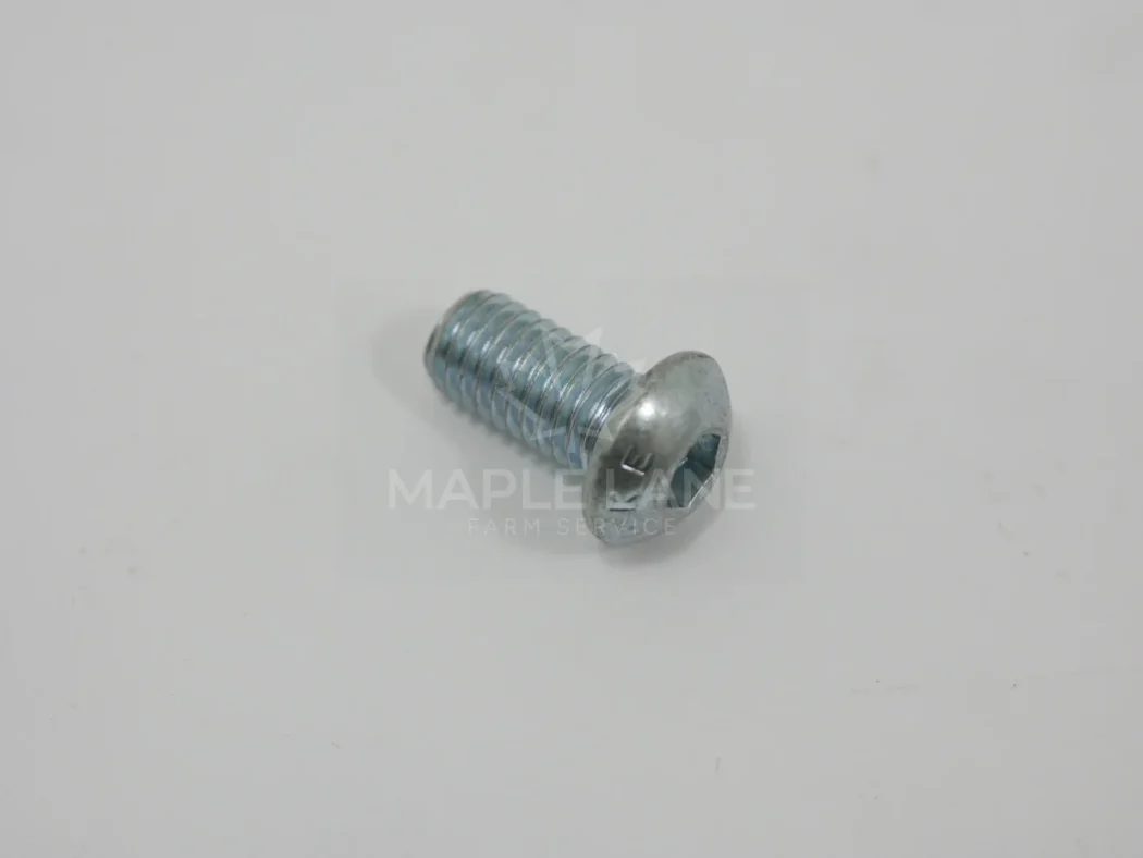 ACP0254350 head bolt