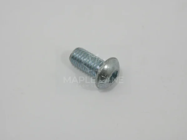 ACP0254350 head bolt