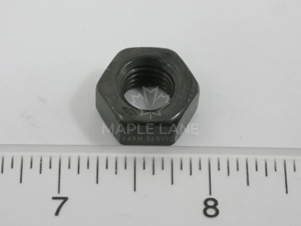 ACW8111730 Hex Nut