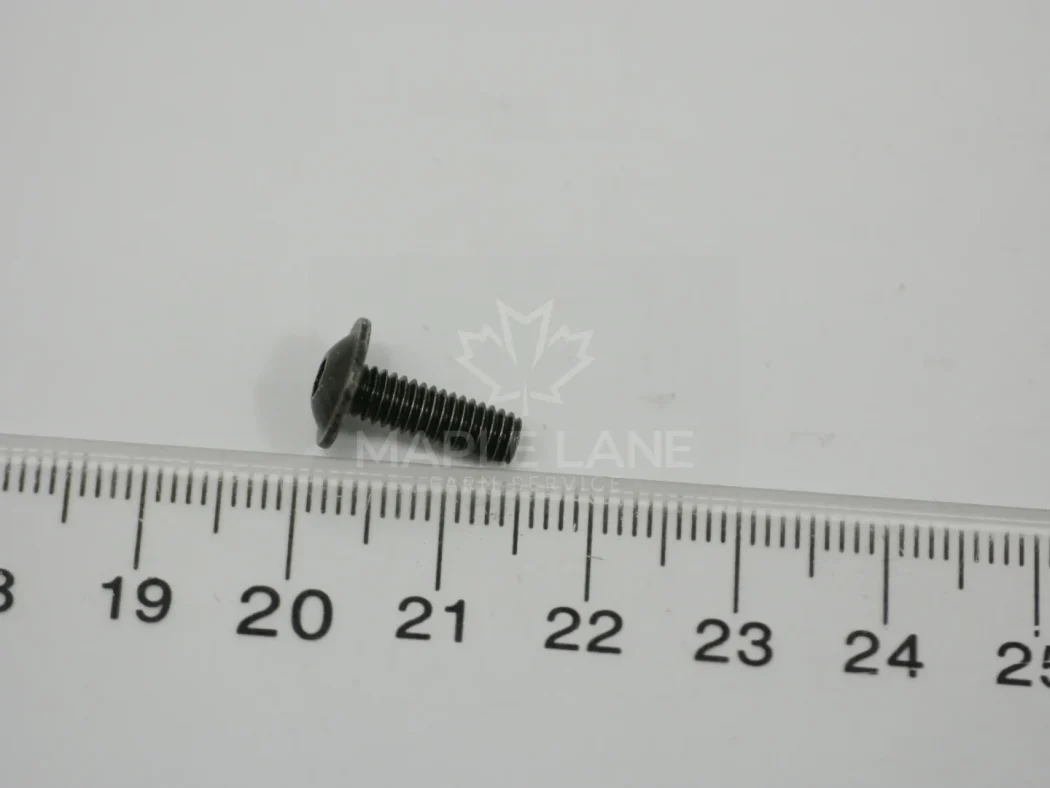 ACX4540250 screw
