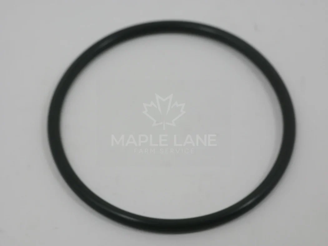 24274000 O-Ring