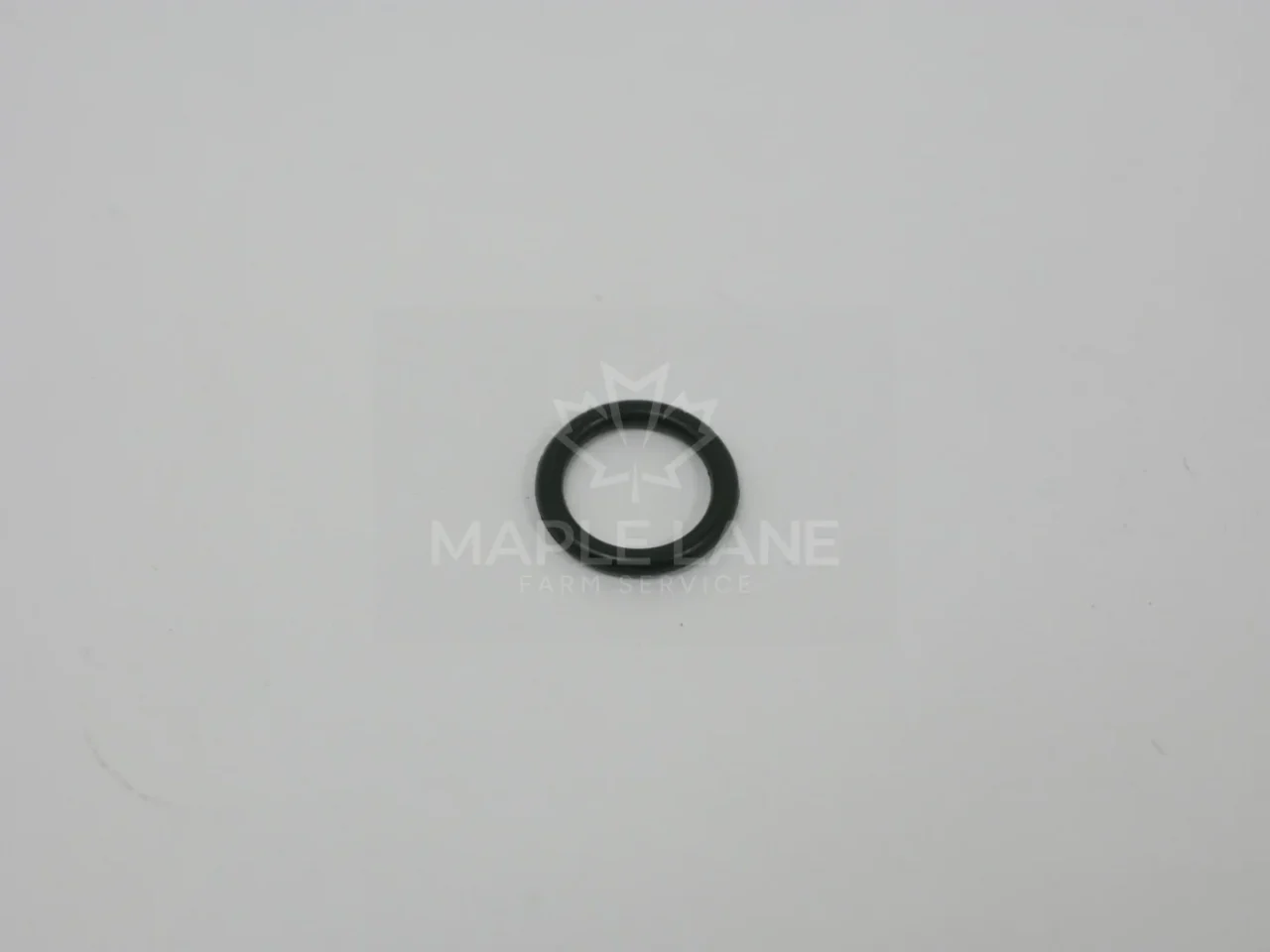 170967 O-ring