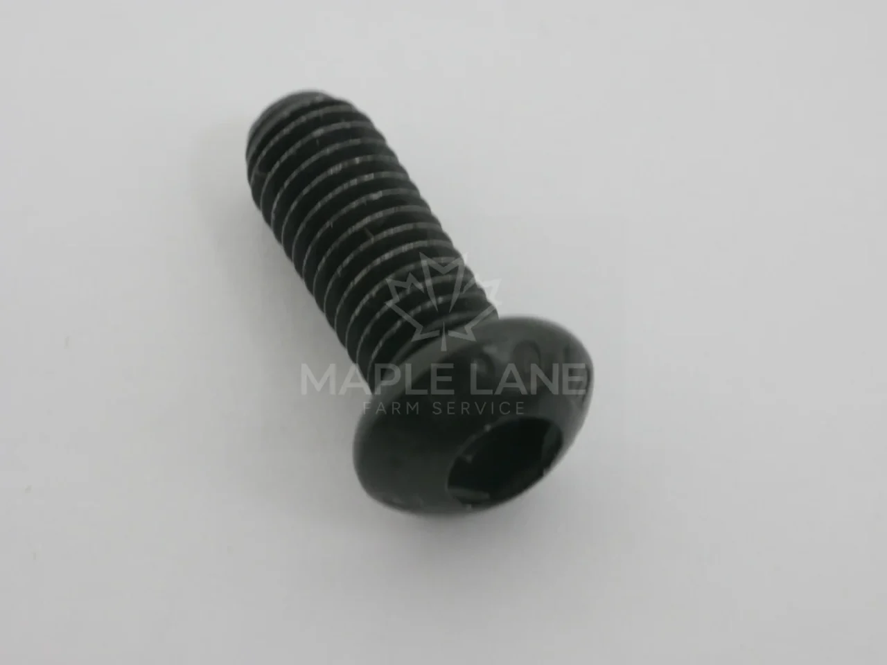 189172 Bolt