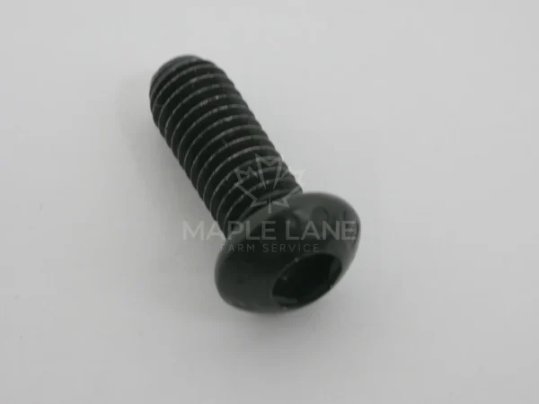189172 Bolt