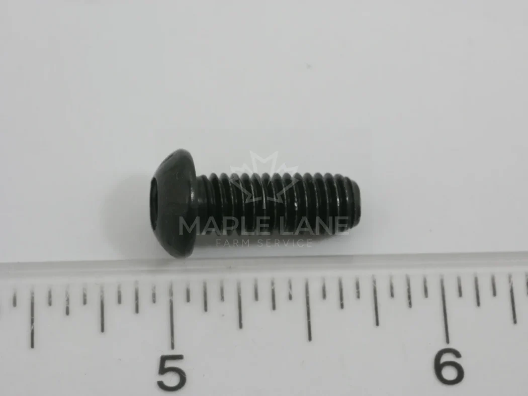 189172 Bolt