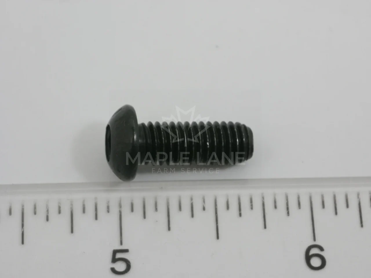 189172 Bolt