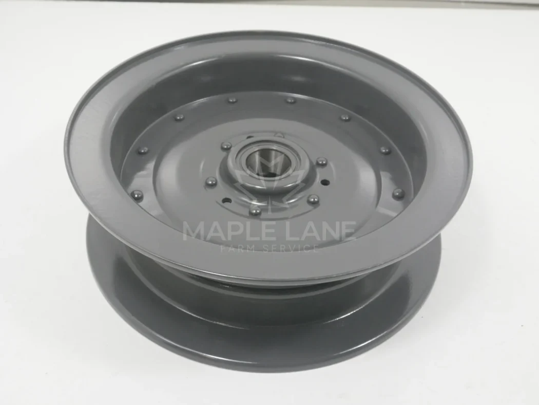 71309768 Idler pulley