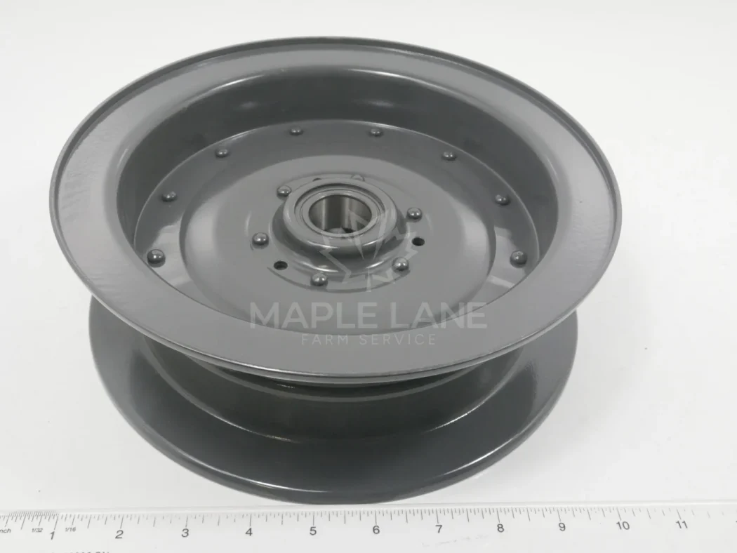 71309768 Idler pulley