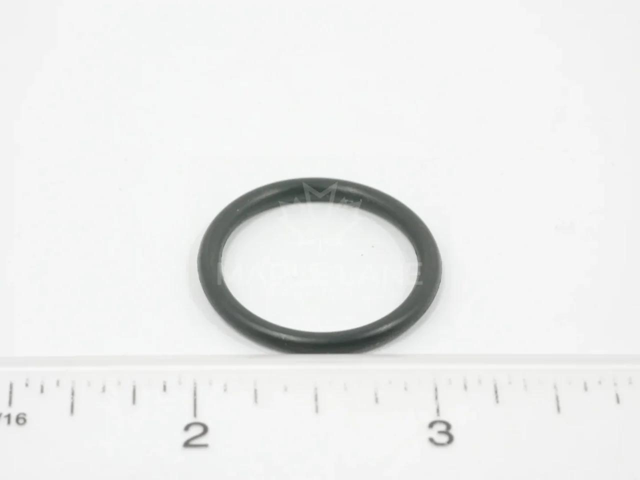 831617M1 O-Ring