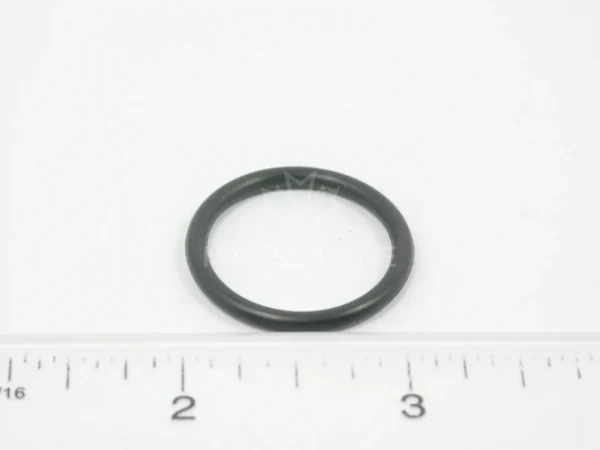 831617M1 O-Ring