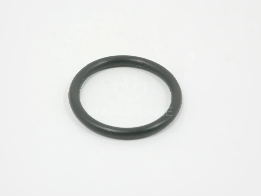 831617M1 O-Ring