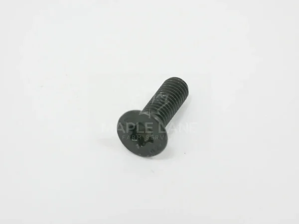 ACX3109030 Torx Head