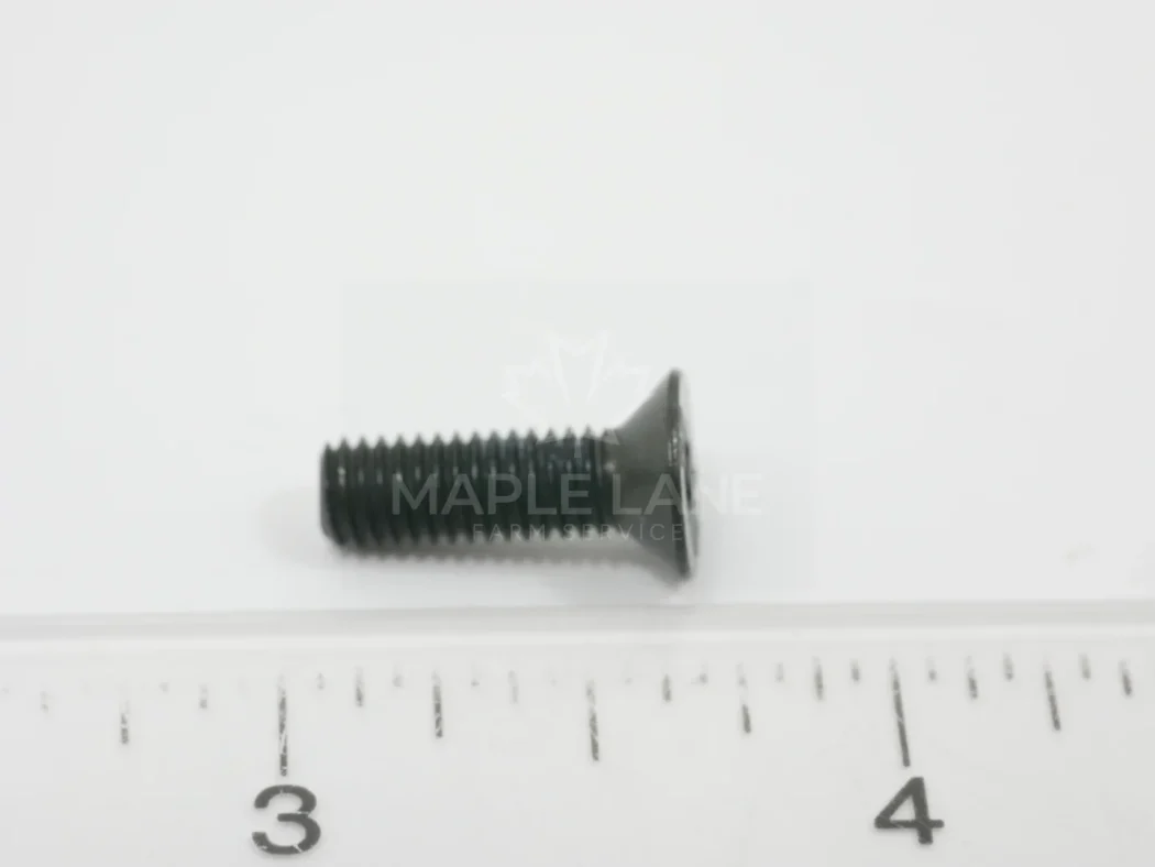 ACX3109030 Torx Head