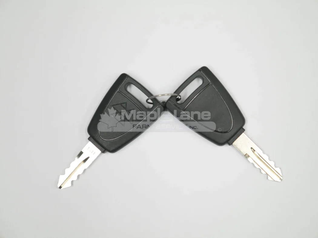 ACX4046710 Two Door Keys