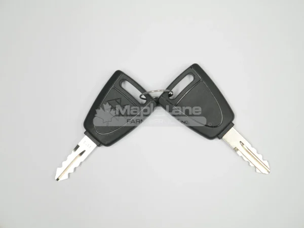 ACX4046710 Two Door Keys