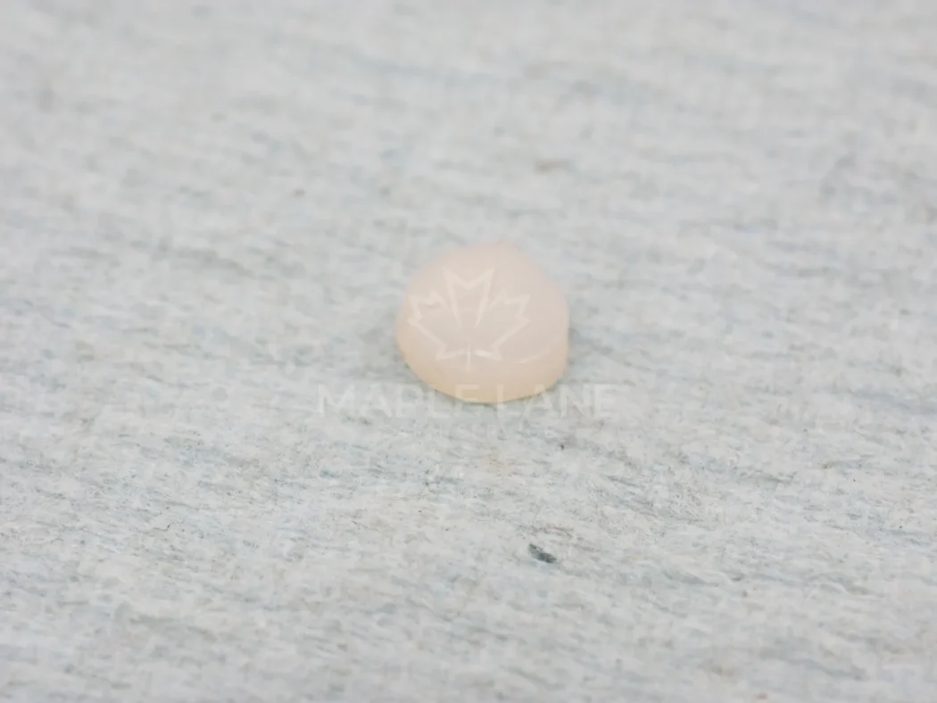 SN8961-1 Plug