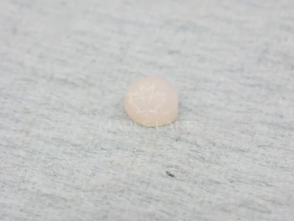 SN8961-1 Plug