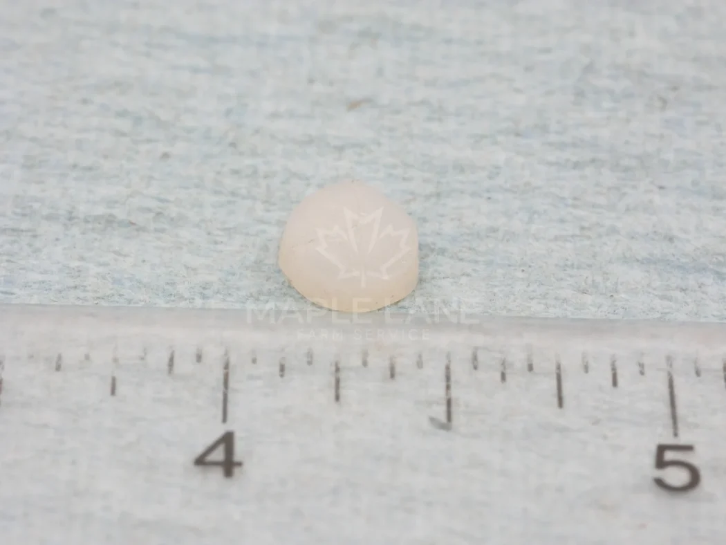 SN8961-1 Plug