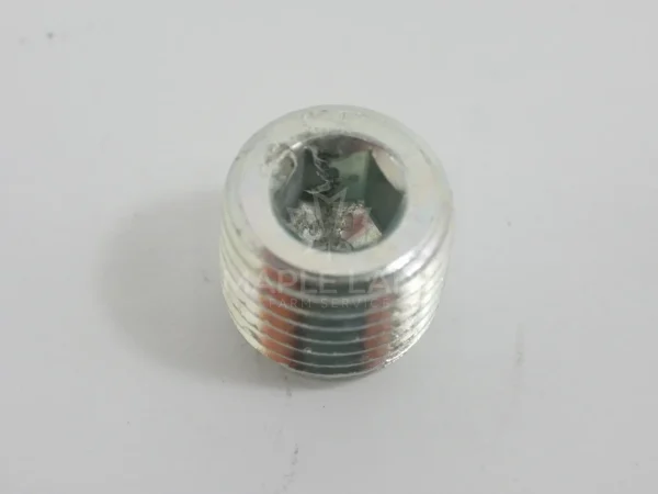 Y746578 Hex Plug