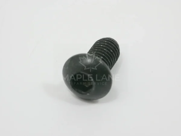 202731 Hex Bolt