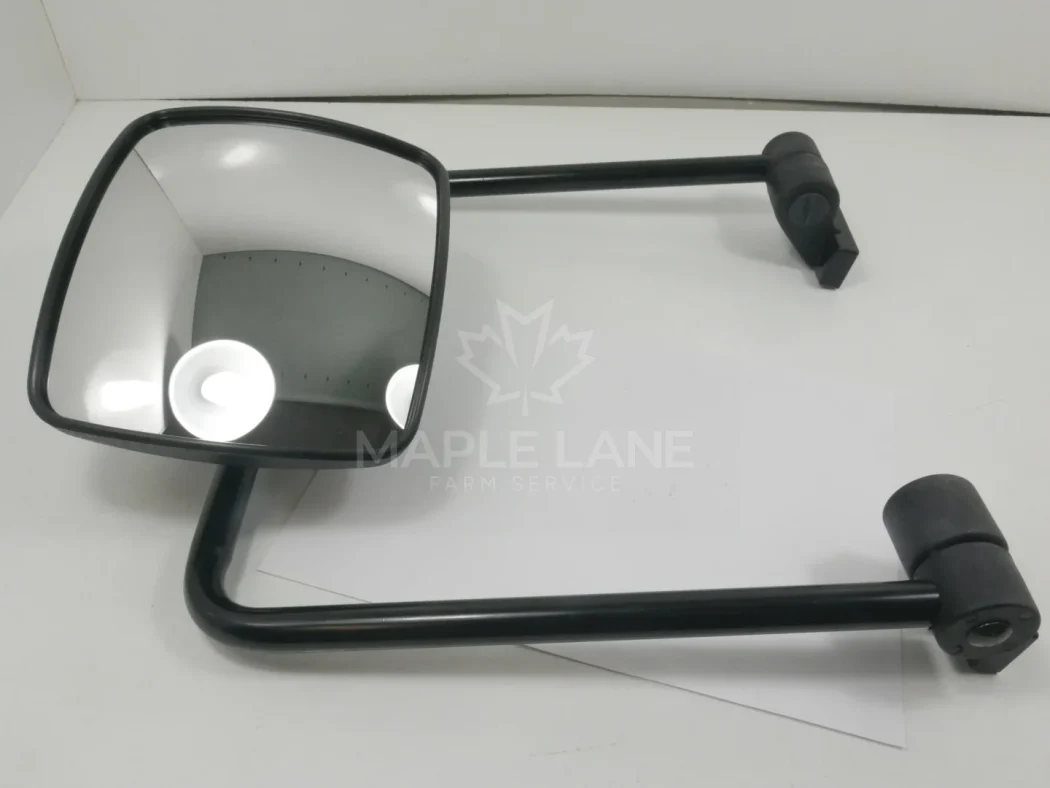 299496 Mirror