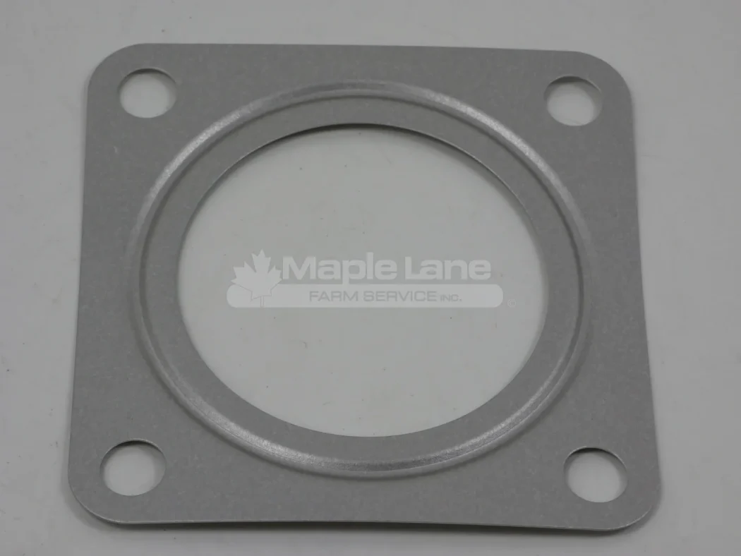 52639295 Gasket